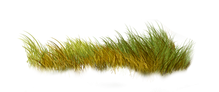 Трава вектор