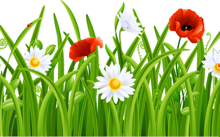 Трава вектор