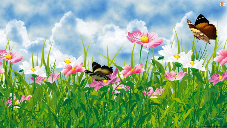 Бабочки на лугу