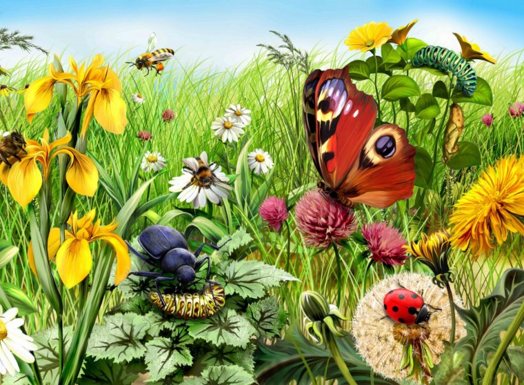Пейзаж с насекомыми