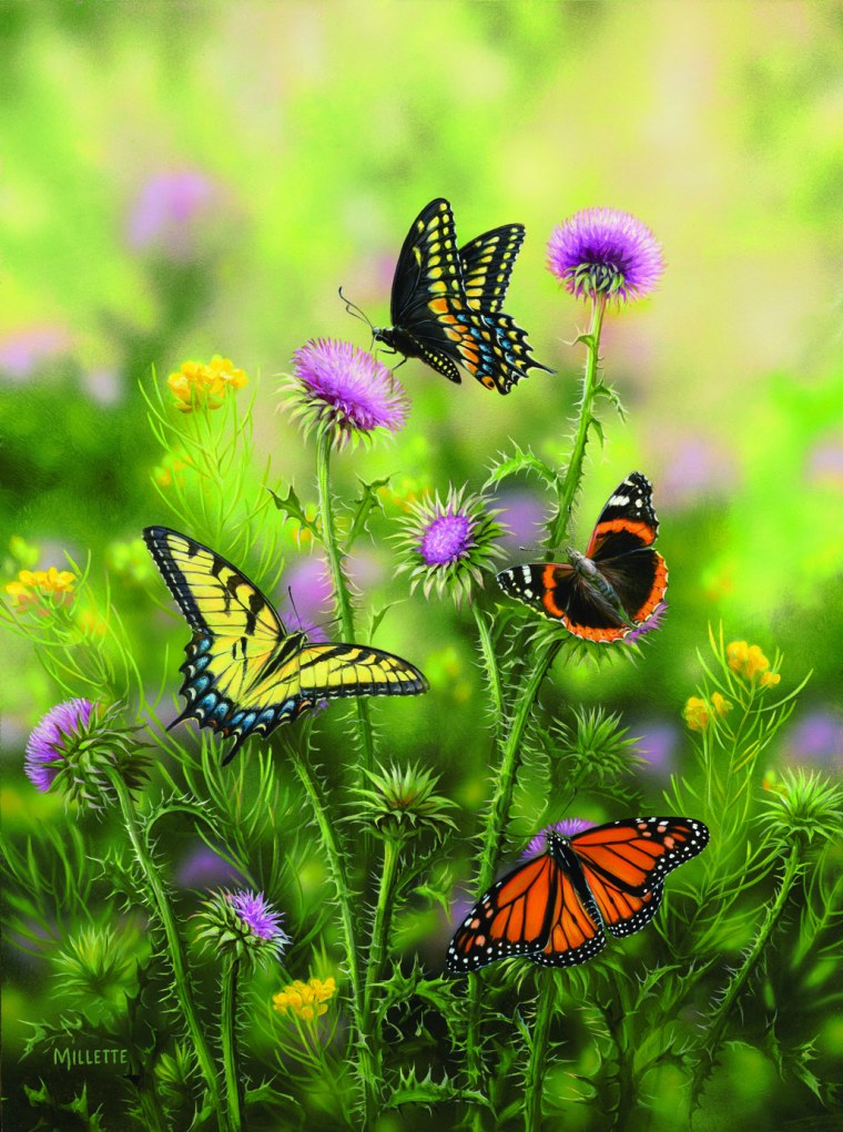 Порхание бабочки