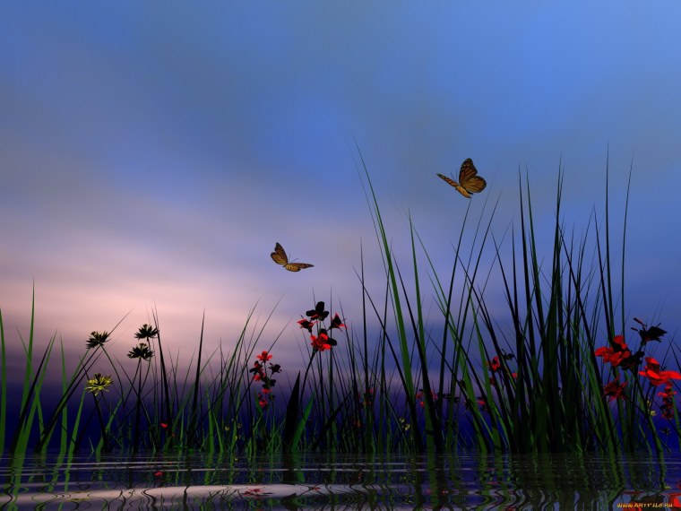 Красивые пейзажи с бабочками