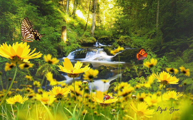 Живая природа летом