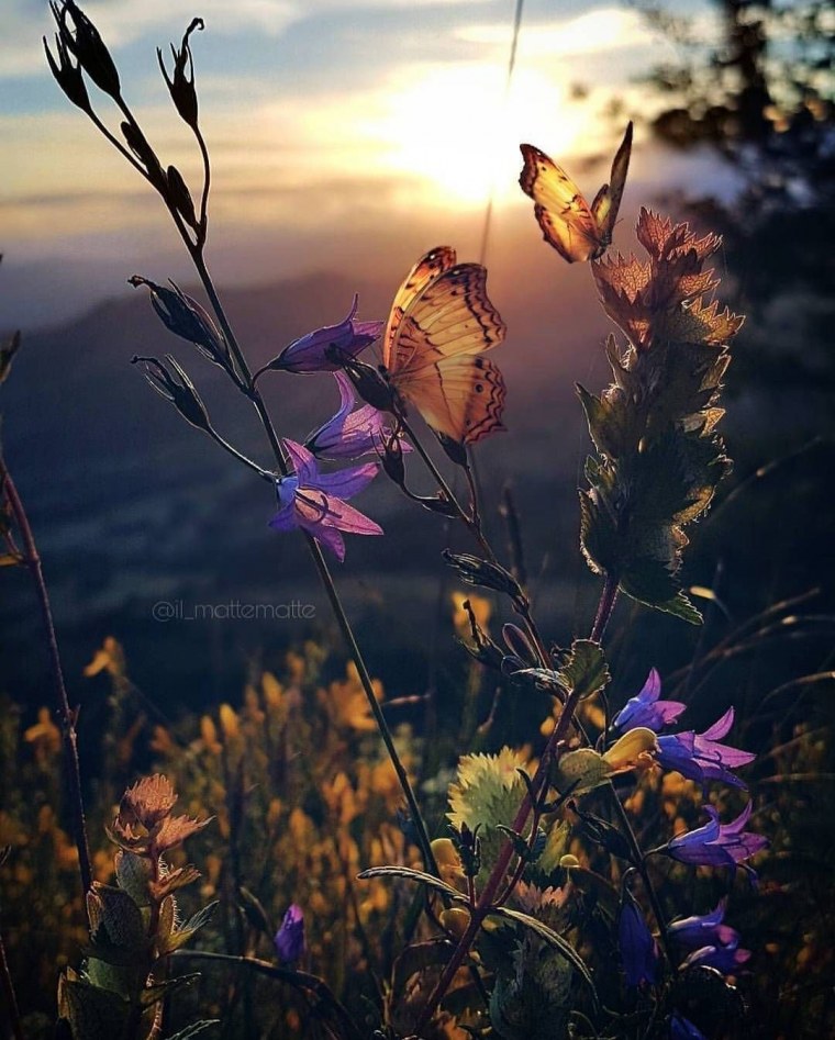 Природа Вдохновение