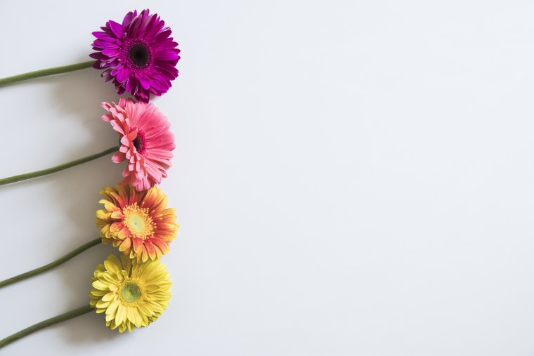 Красивые цветы Минимализм