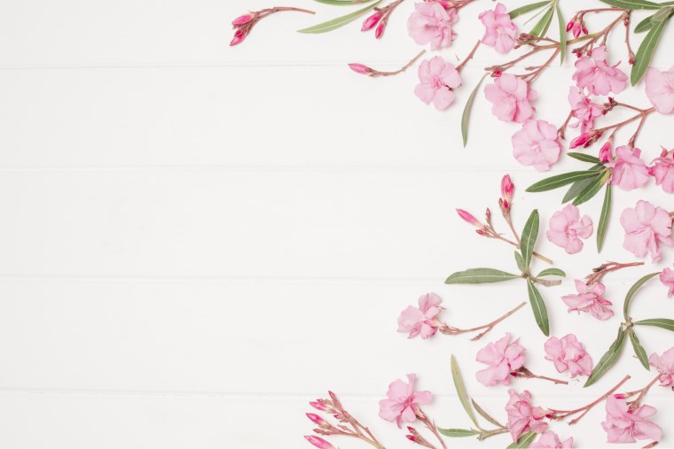 Цветы на белом фоне Минимализм