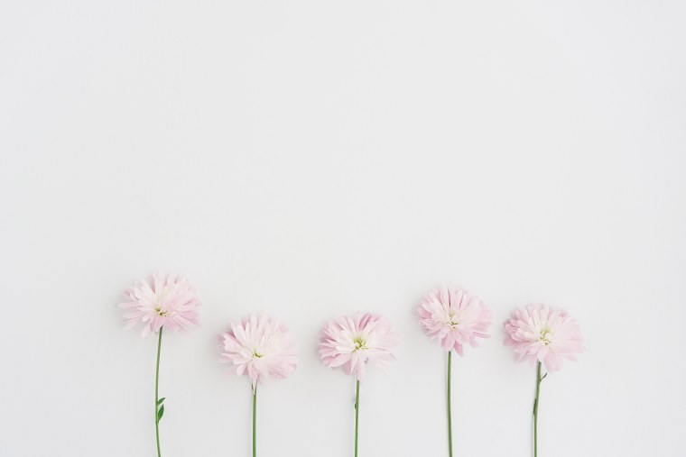 Нежные цветы Минимализм