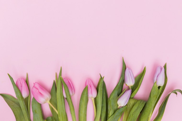 Тюльпаны на розовом фоне