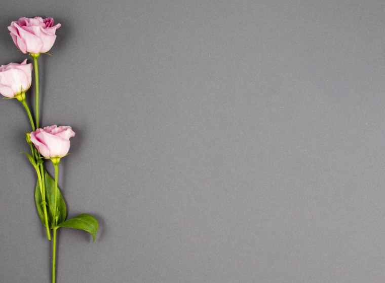 Цветы Минимализм