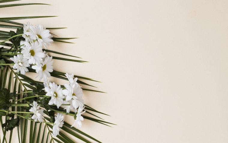 Светлые цветы