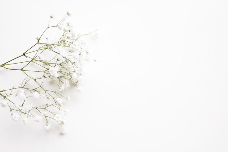 Цветы Минимализм