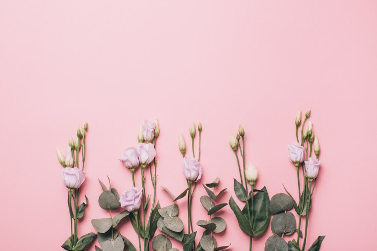 Цветы Минимализм