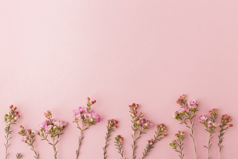 Цветы Минимализм