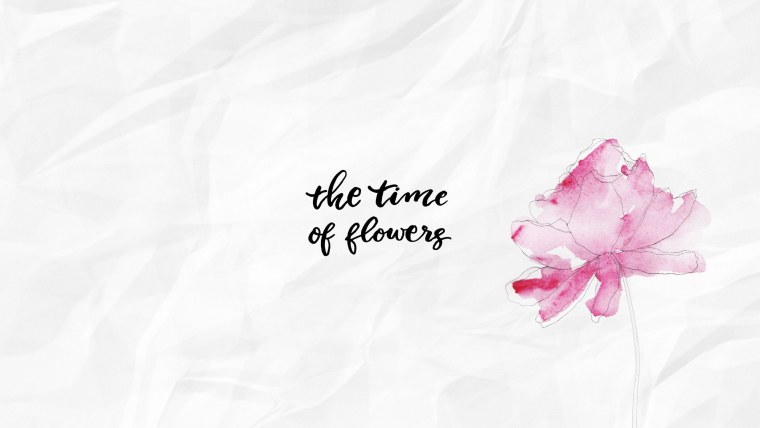 Цветы Минимализм