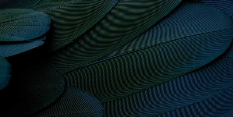 Vertu Signature с антенной