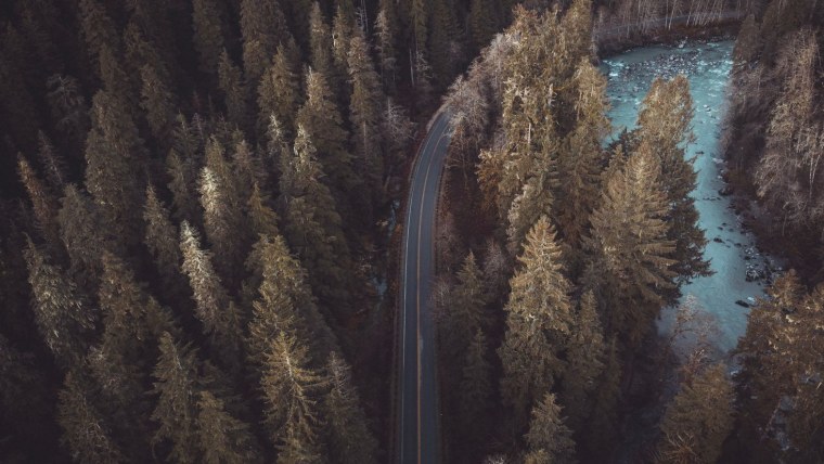 Лес вид сверху