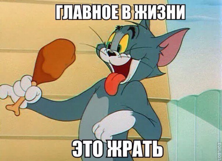 Том и Джерри приколы