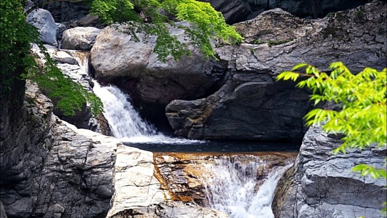 Природа гиф