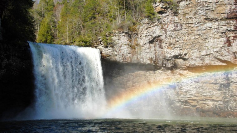 Живые обои на рабочий стол
