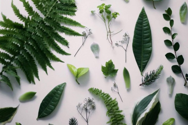 Цветочки Эстетика