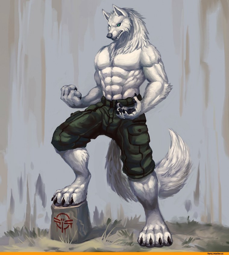 Фури Перенакаченные