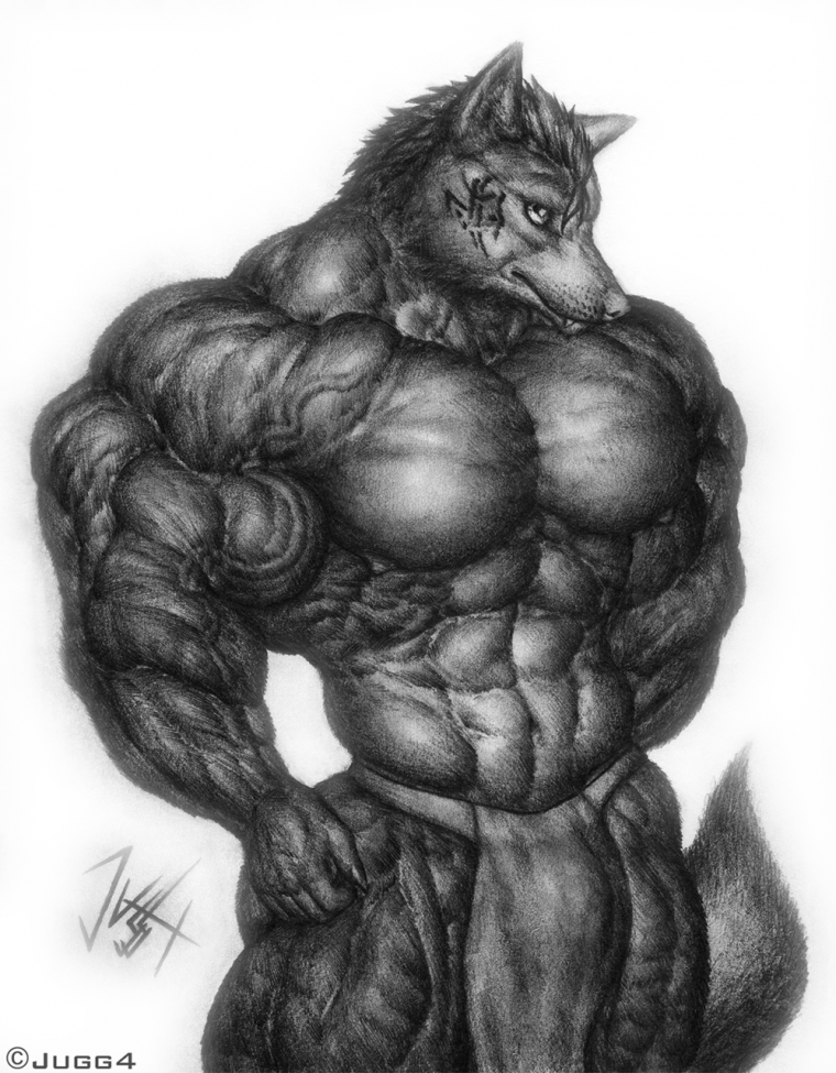 Мускулистый волк