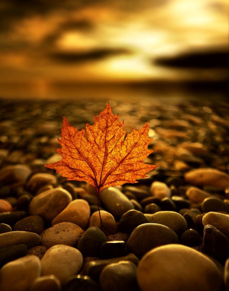 Осенний аватар