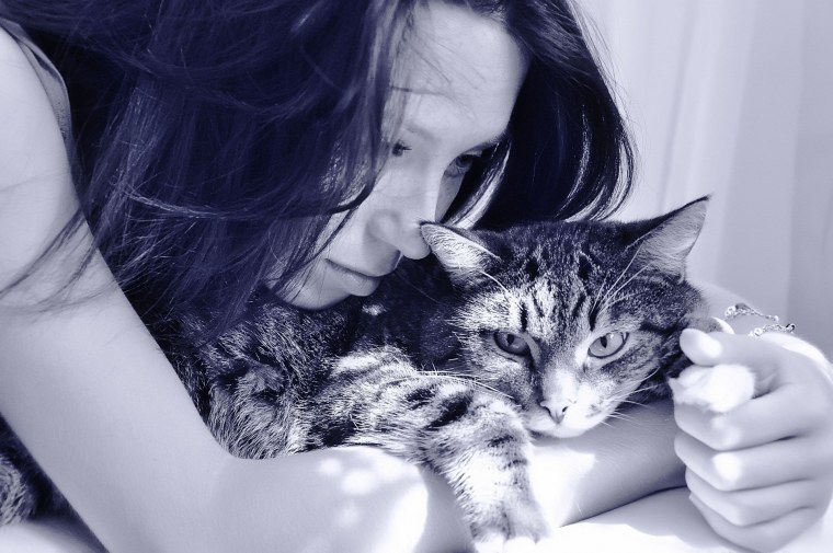 Девушка с кошкой картинки