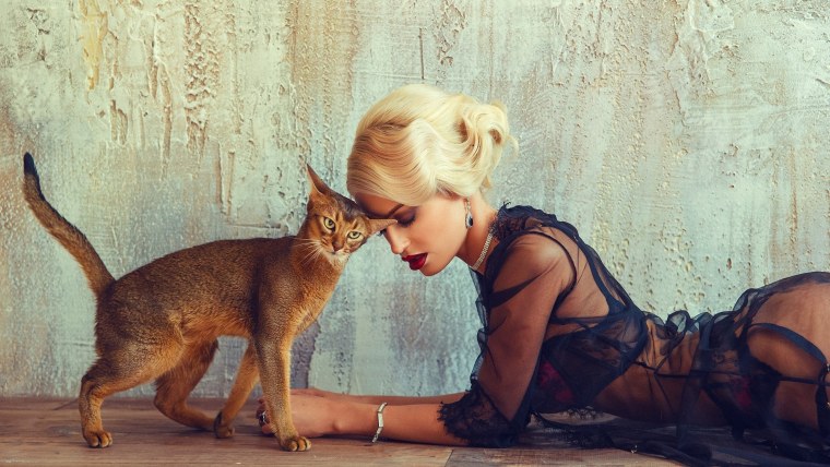 Фотосессия с кошкой