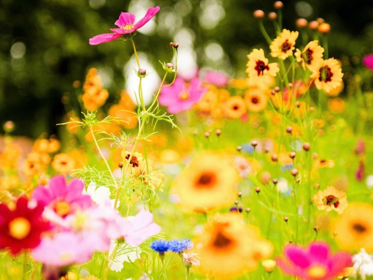 Красивая природа море