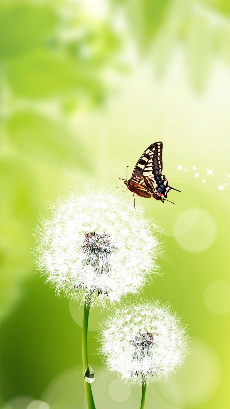 Заставка лето