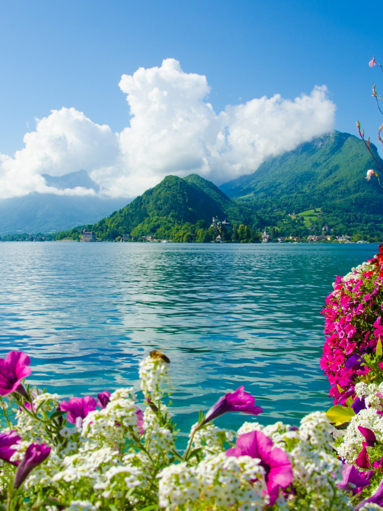 Летний пейзаж