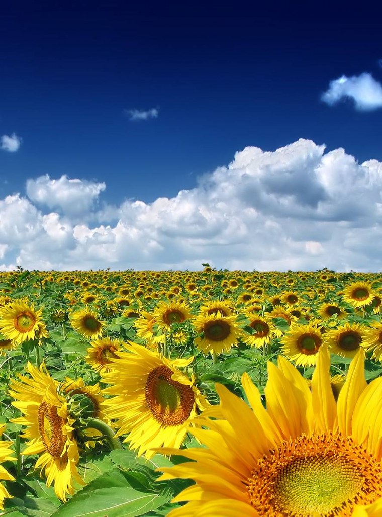 Телевизор Томсон t40fsl5130