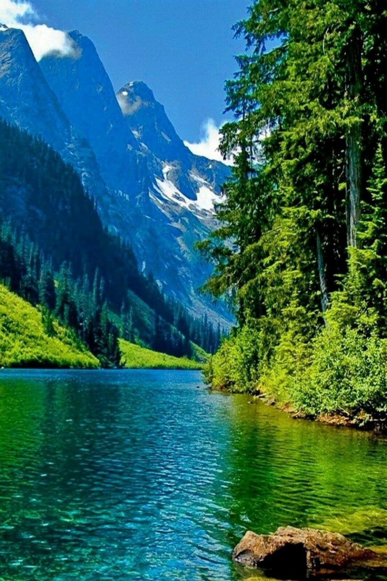 Прекрасный мир природы