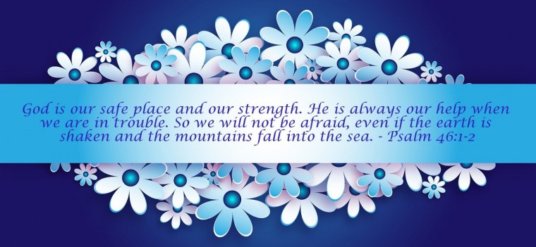 Баннер цветы