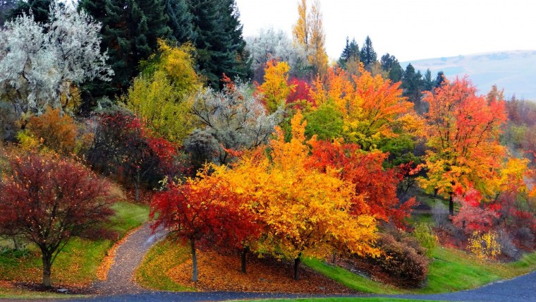 Осенние краски природы