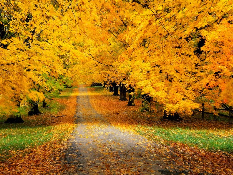 Стихи про осень