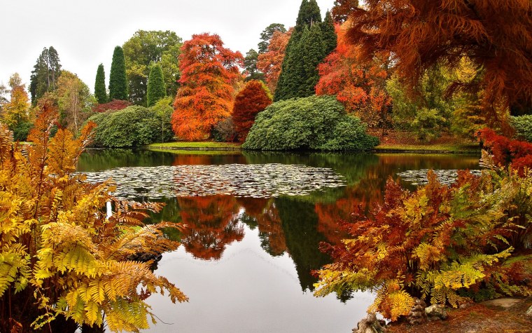 Золото осень пруд парк