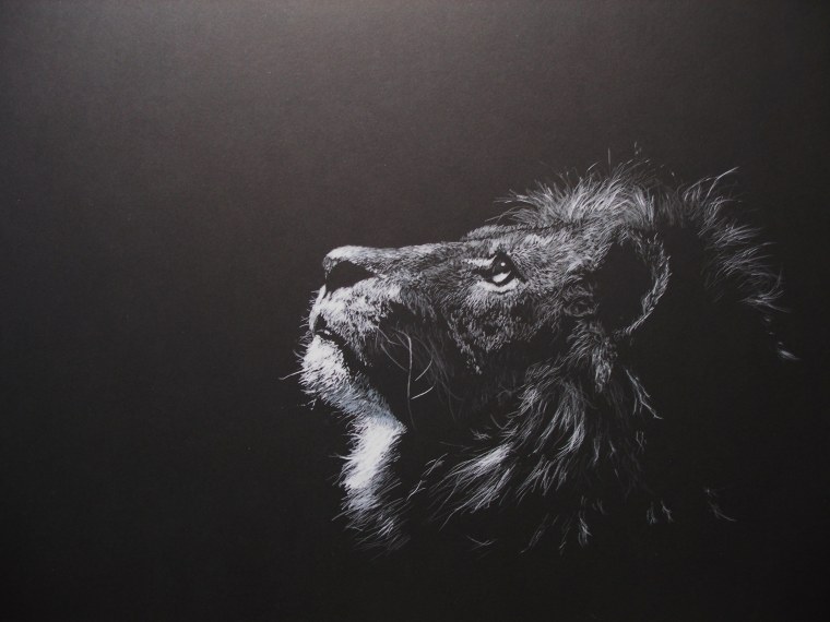 Лев на темном фоне