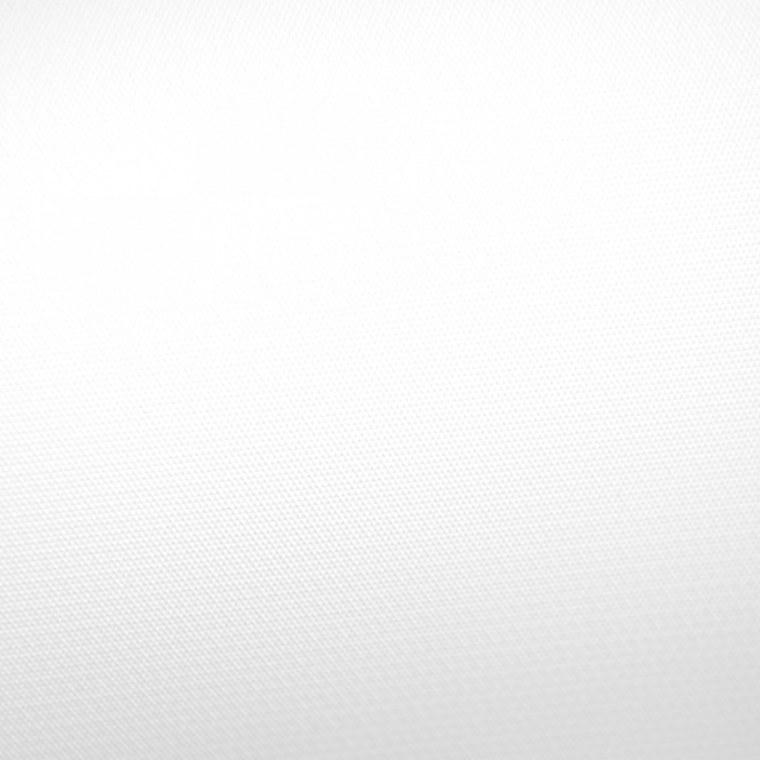 Витрулан стеклохолст VPP 200