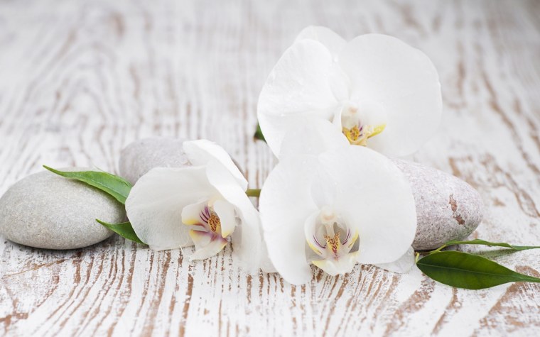 Белые цветы