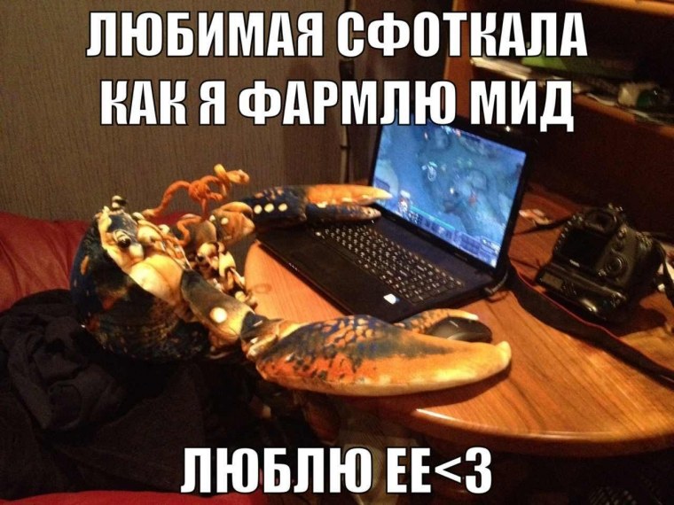 Смешные шутки про доту