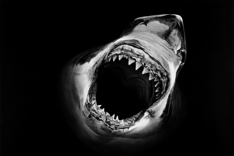 Наклейка на авто "акула"