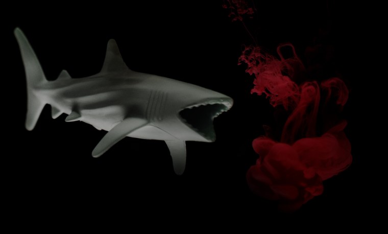 Акула Минимализм