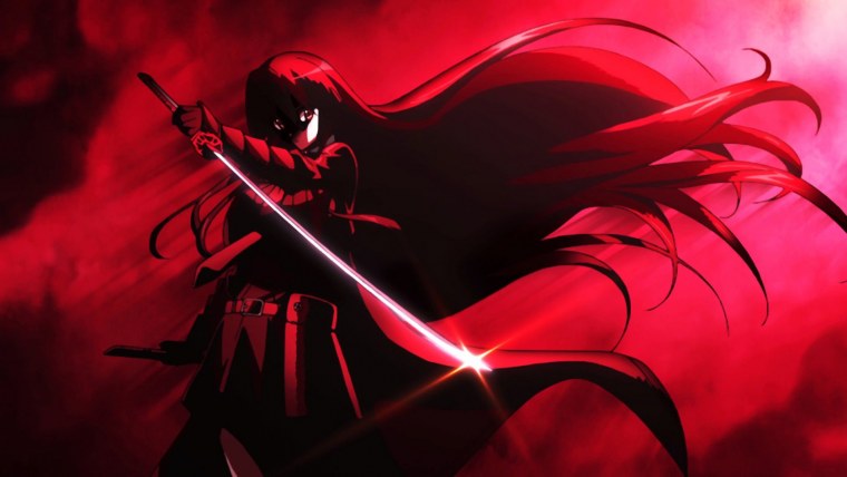 Akame ga Kill акаме