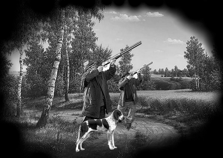 Охотничьи пейзажи для гравировки