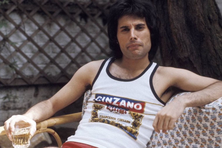 Фредди Меркьюри в профиль