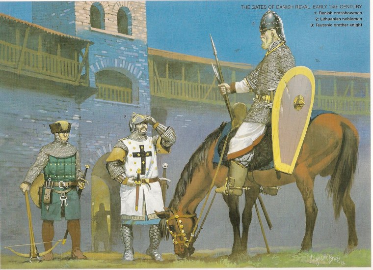 Датские воины 13 века