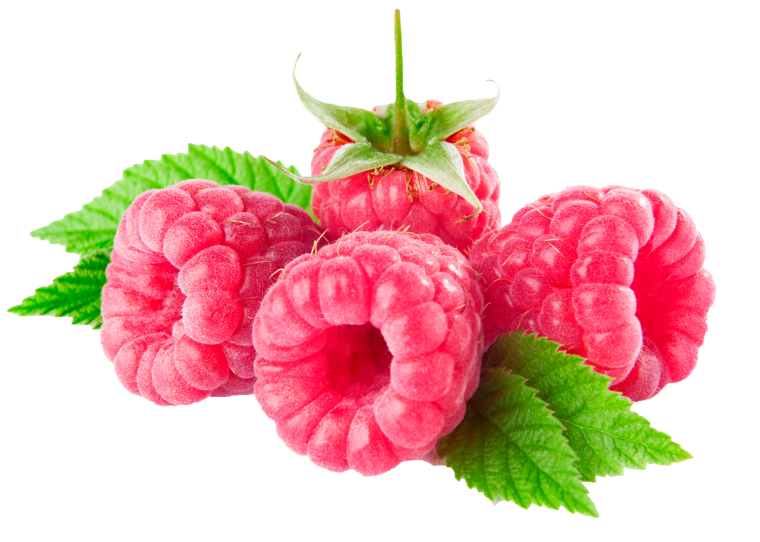 Ягоды на прозрачном фоне