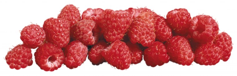 Малина на белом фоне